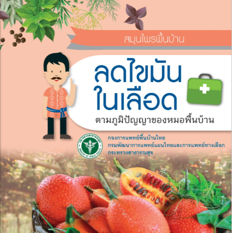 สมุนไพรพื้นบ้าน ลดไขมันในเลือด ตามภูมิปัญญาของหมอพื้นบ้าน